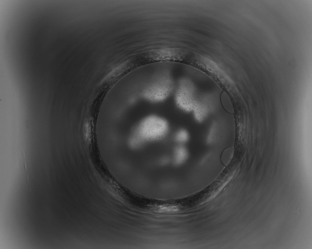 X0000097820165200803201444