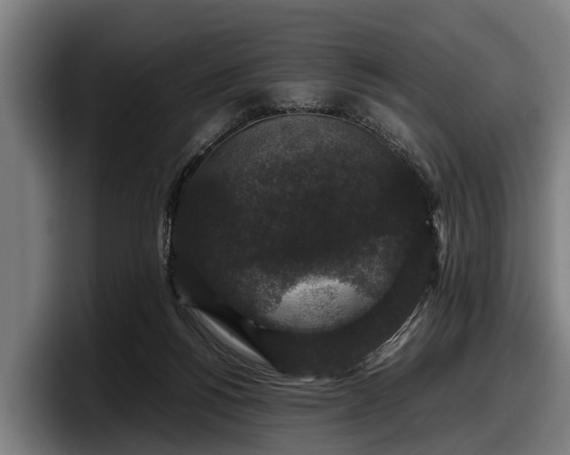 X0000097820168200803201444