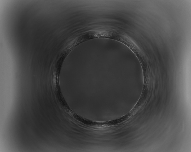 X0000097820169200803201444