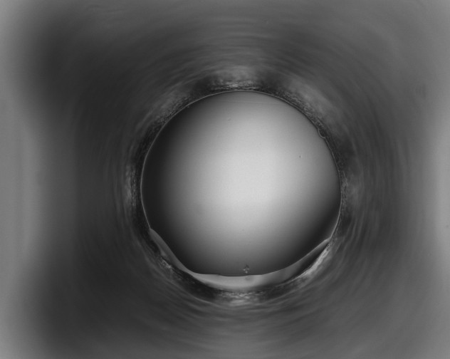 X0000097820170200803201444