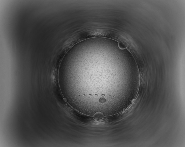 X0000097820175200803201445