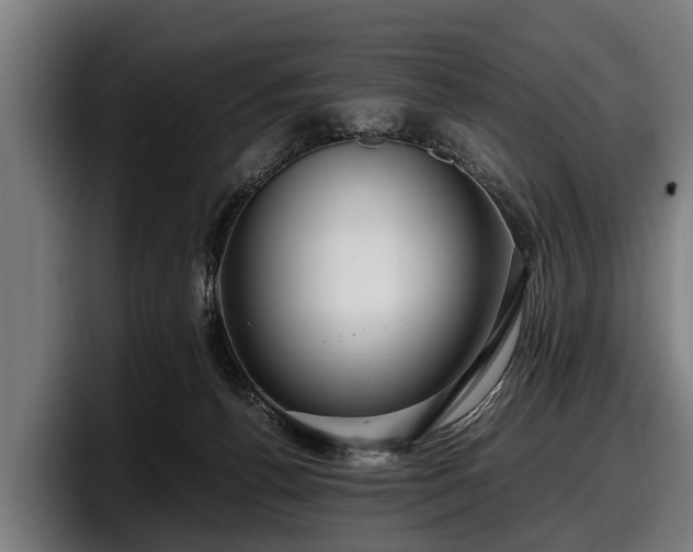 X0000097820176200803201445