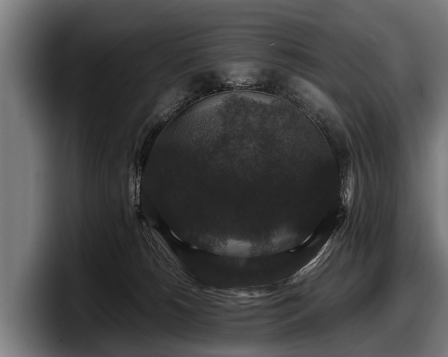 X0000097820180200803201445