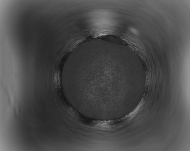 X0000097820182200803201445