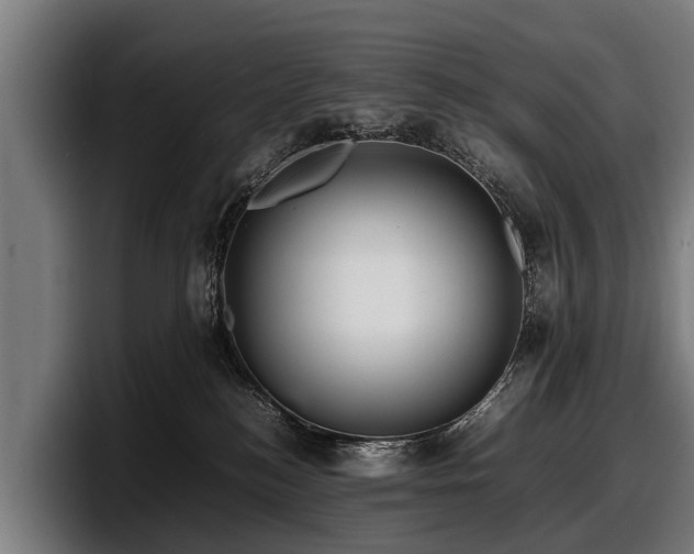 X0000097820184200803201445