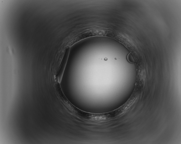 X0000097820185200803201445