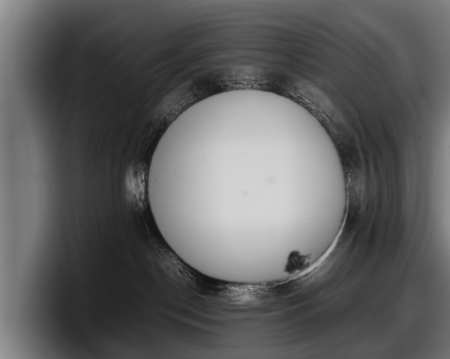 X0000097820190200803201445