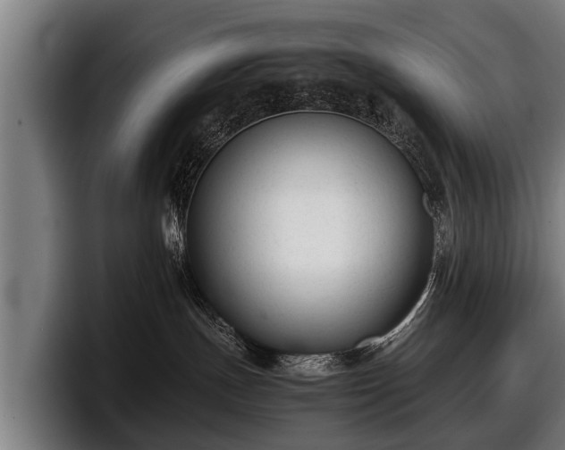 X0000097820191200803201445