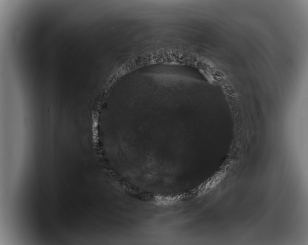 X0000097820192200803201445