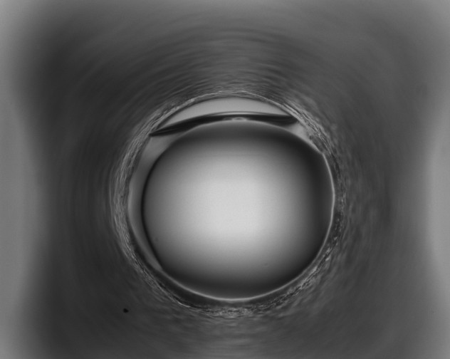 X0000097820193200803201444