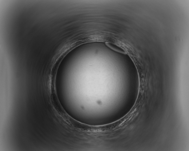 X0000097820194200803201444