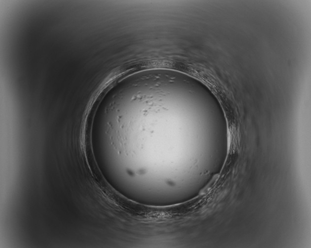 X0000097820195200803201444