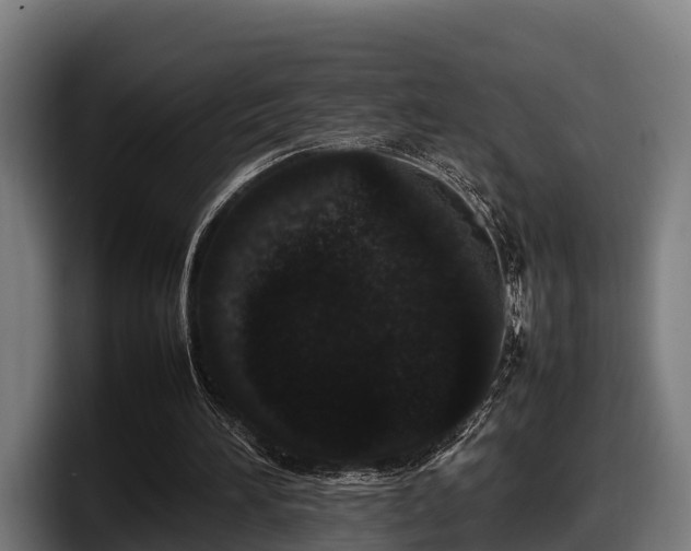 X0000097820196200803201444