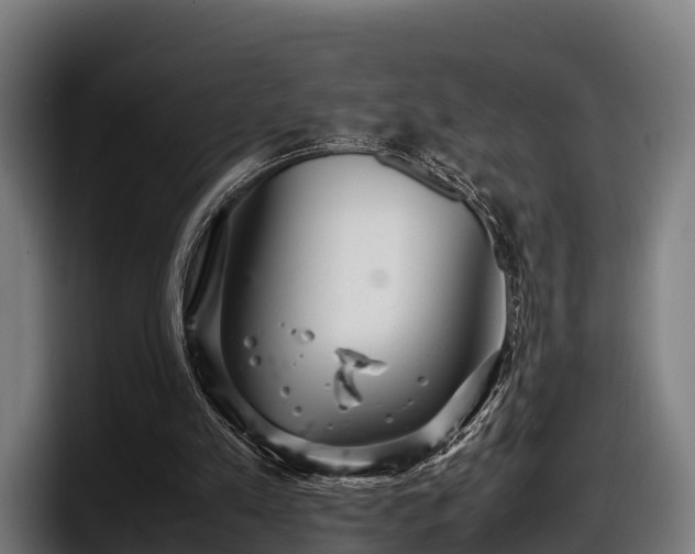 X0000097820197200803201444