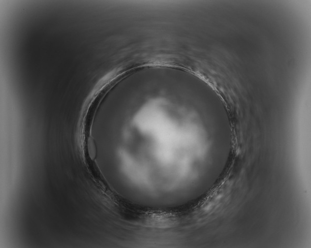 X0000097820199200803201444