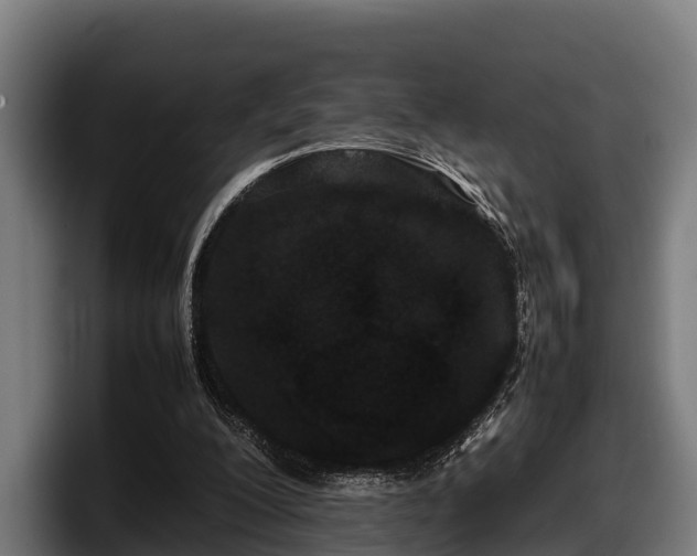 X0000097820200200803201444