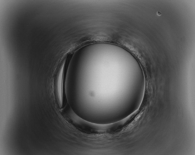 X0000097820201200803201444