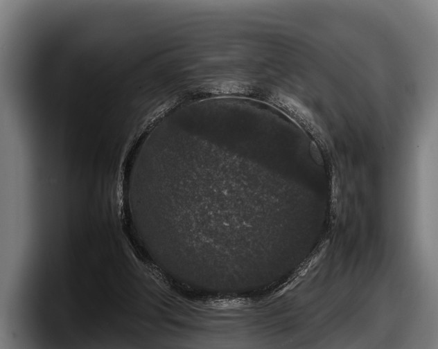 X0000097820202200803201444