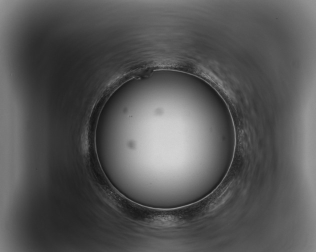 X0000097820203200803201444