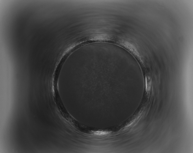 X0000097820204200803201444