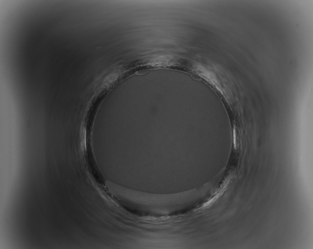 X0000097820205200803201444