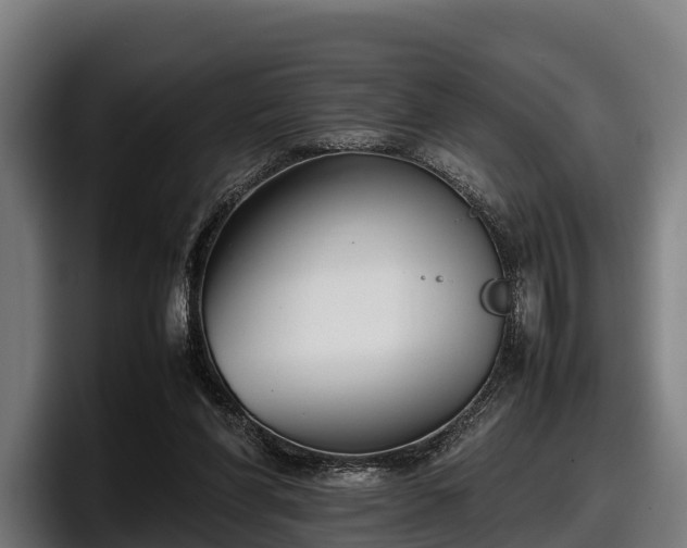 X0000097820206200803201444