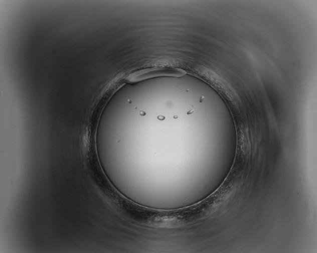 X0000097820208200803201444