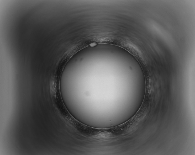 X0000097820210200803201444