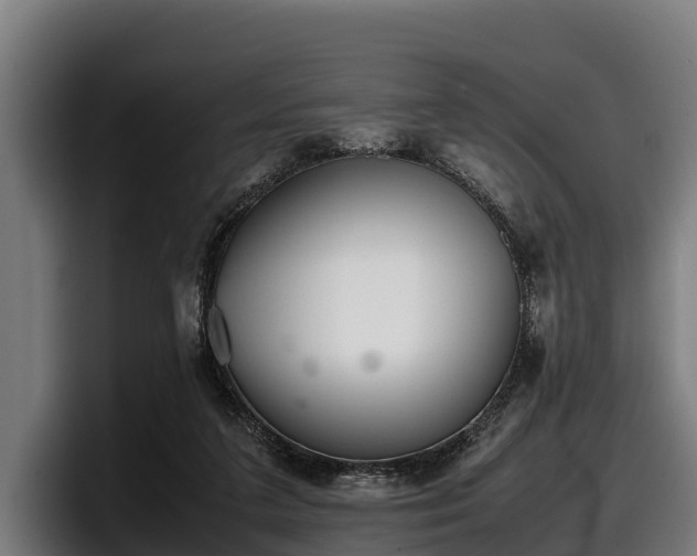 X0000097820211200803201444