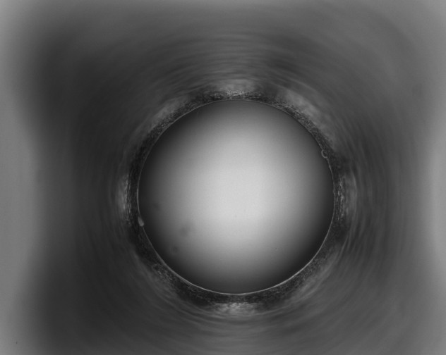 X0000097820212200803201444