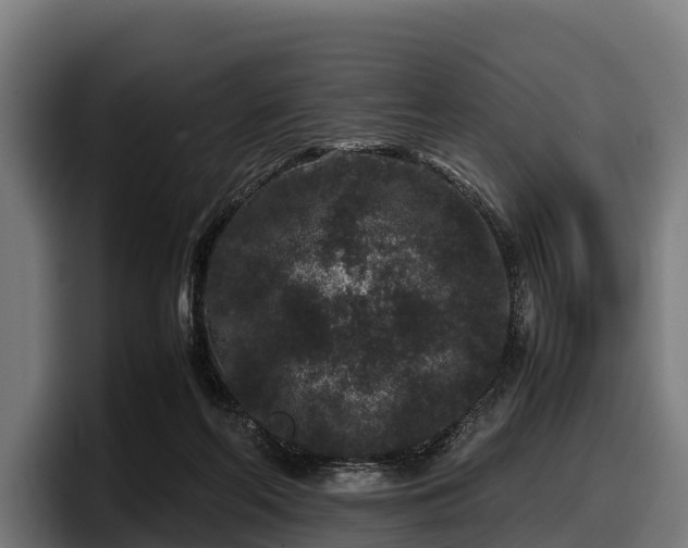 X0000097820214200803201444