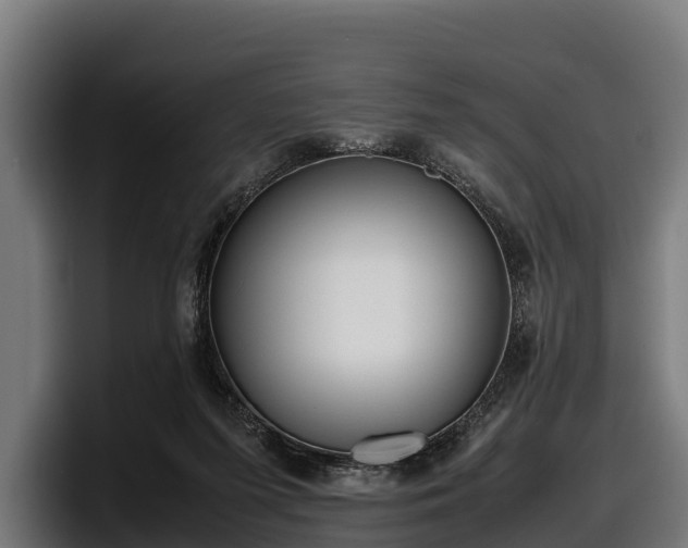 X0000097820215200803201444