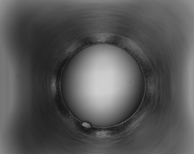 X0000097820216200803201444