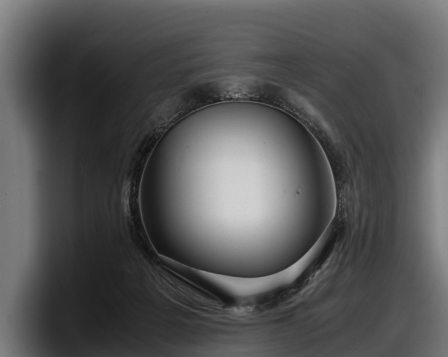 X0000097820217200803201444