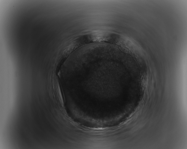 X0000097820219200803201444