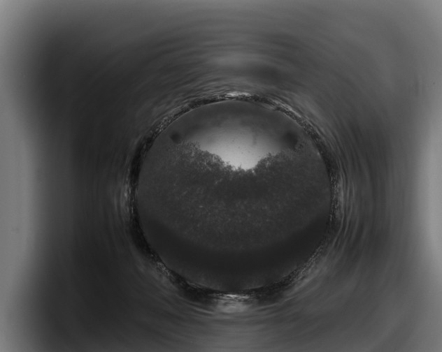 X0000097820222200803201444