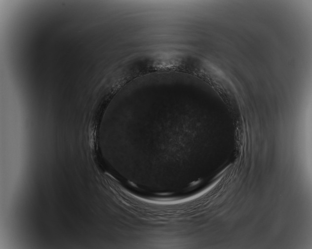 X0000097820227200803201444