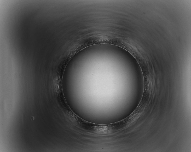 X0000097820230200803201444