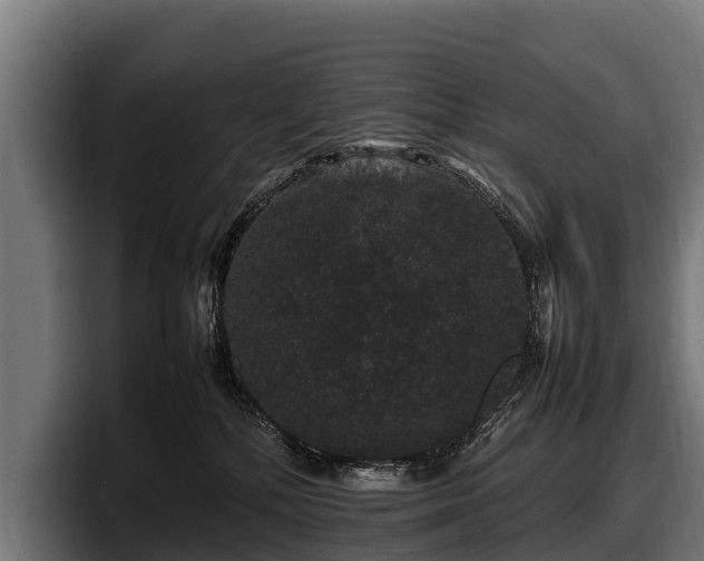 X0000097820232200803201444