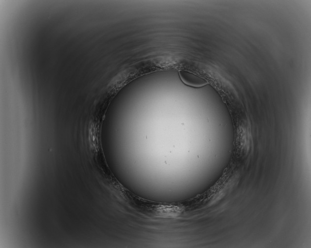 X0000097820234200803201444