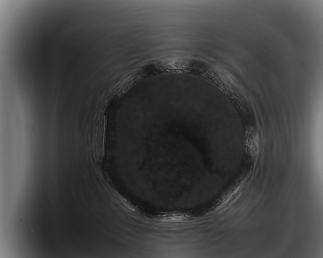 X0000097820235200803201444