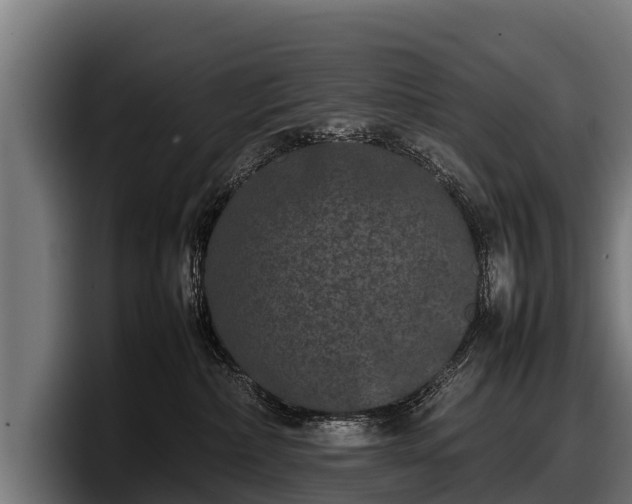 X0000097820236200803201444