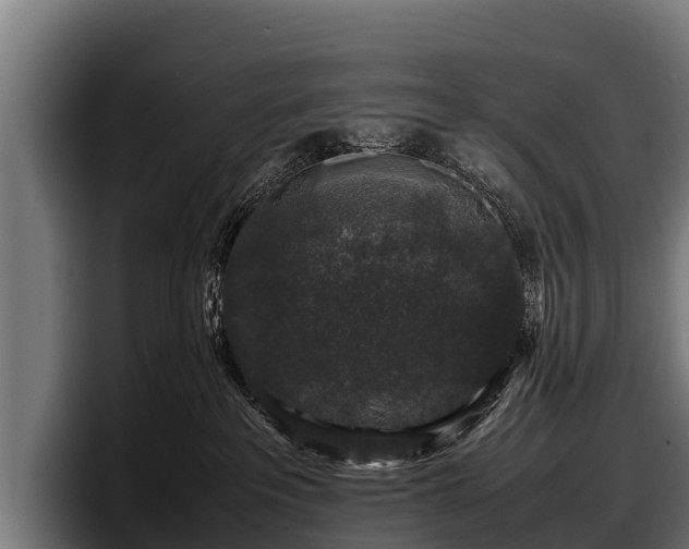 X0000097820237200803201444