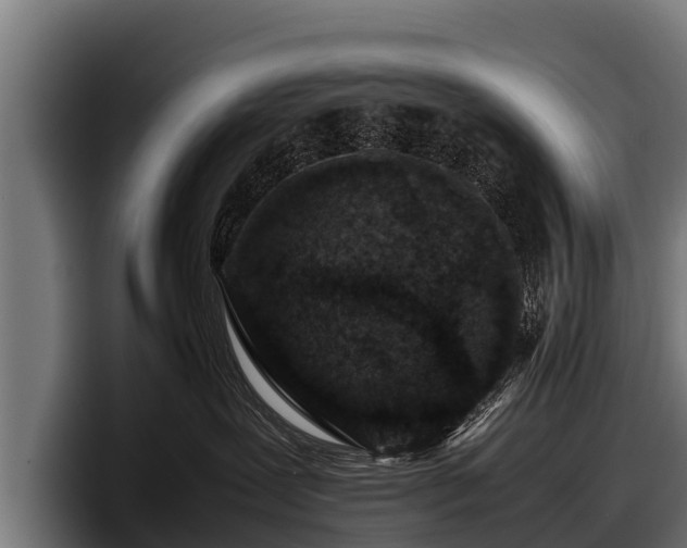 X0000097820239200803201444