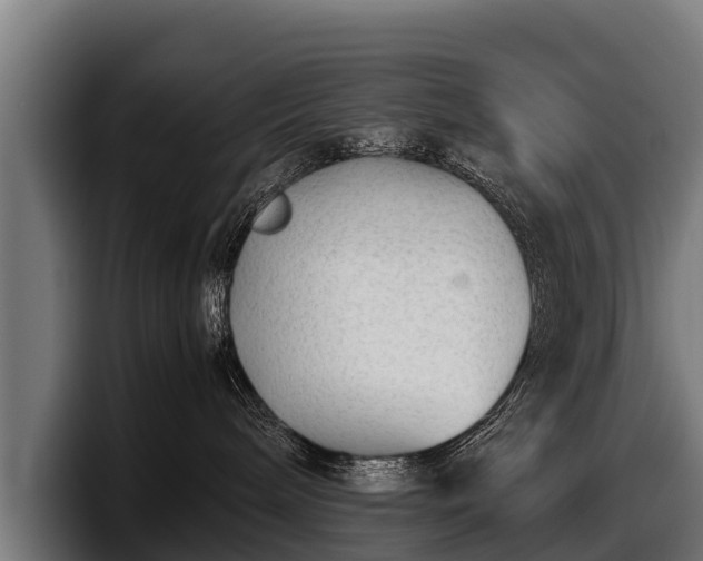 X0000097820240200803201444