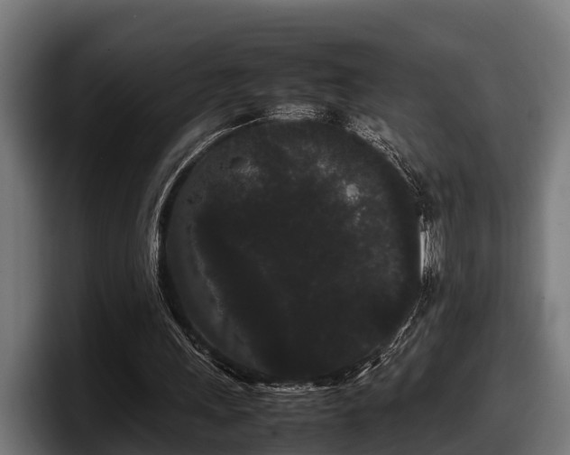 X0000097820243200803201443