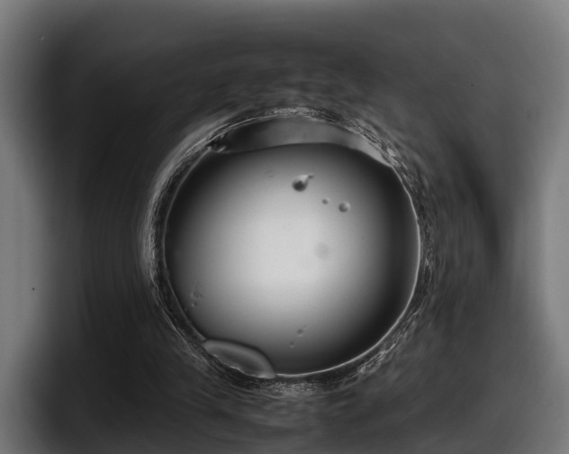 X0000097820245200803201443