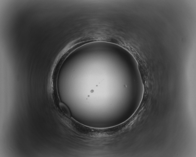 X0000097820246200803201443