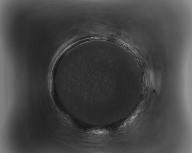 X0000097820247200803201443