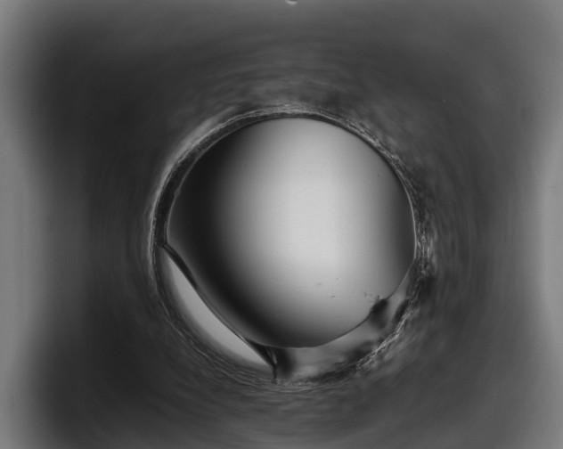 X0000097820248200803201443